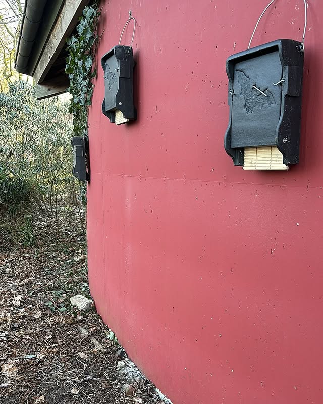 Zwei Insektenhotels auf der Golfanlage Gut Wulfsmühle an der Wand