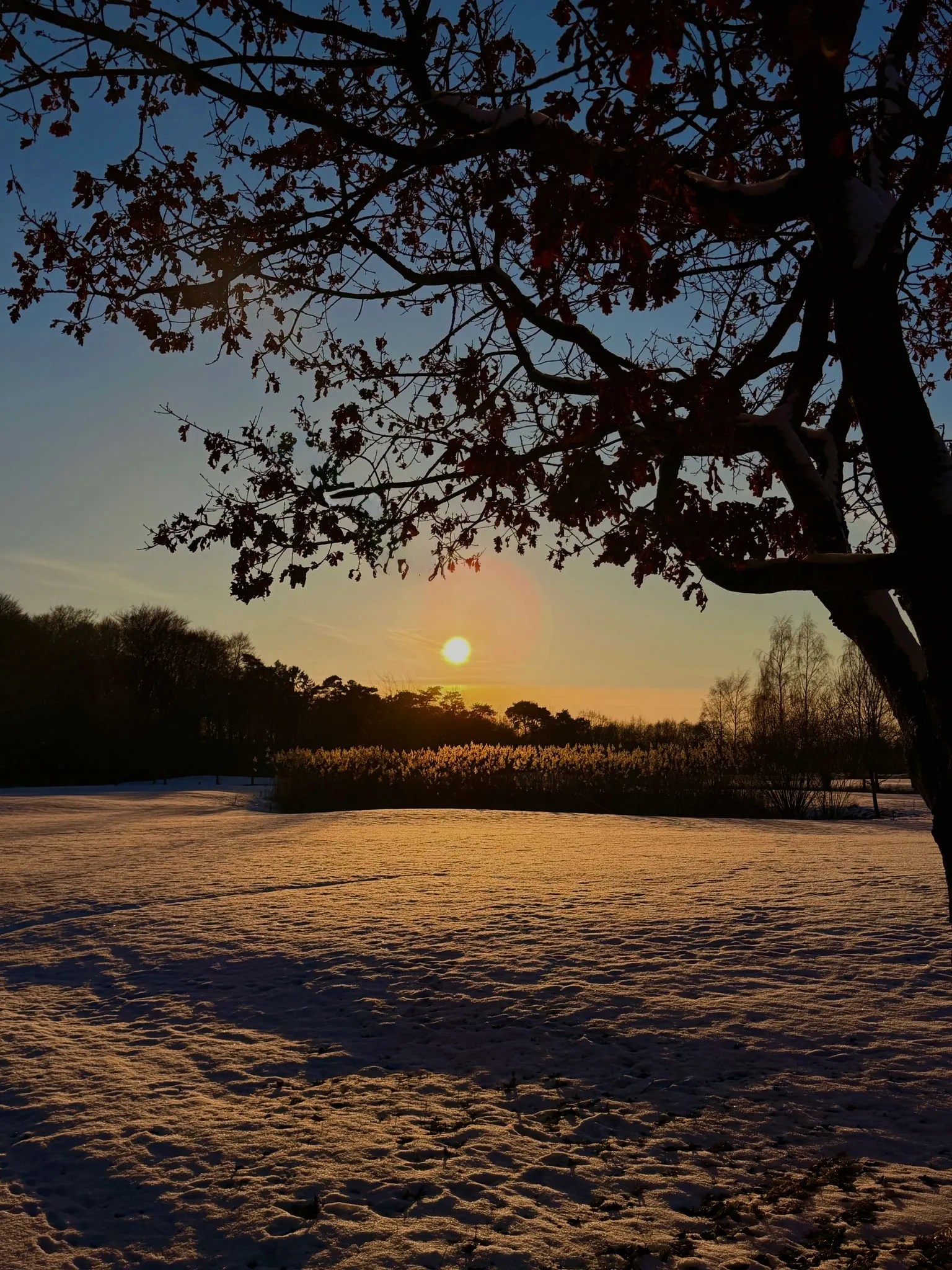 25 Jahre Golfanlage Gut Wulfsmühle